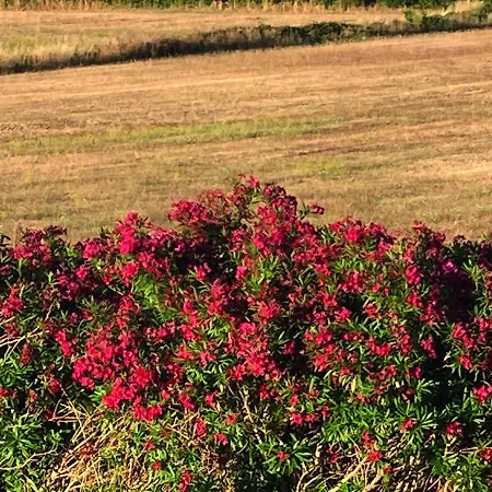 Le Casette Di Fra Santa Severa